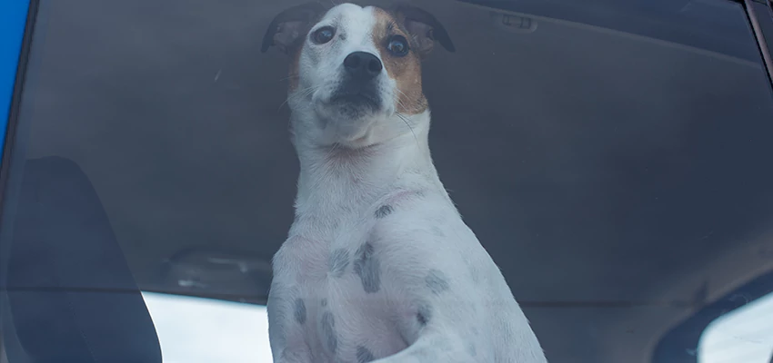 Car Lockout Solutions in Costa Mesa, California